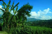 442 Auf dem Weg nach Pokhara