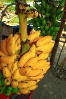 448 Auf dem Weg nach Pokhara