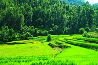 451 Auf dem Weg nach Pokhara