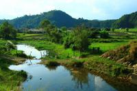 456 Auf dem Weg nach Pokhara