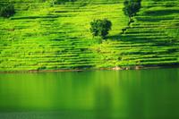 480 Begnas Lake Resort