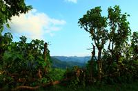 486 Rund ums Begnas Lake Resort