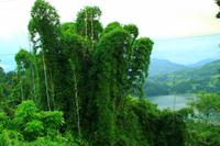 489 Rund ums Begnas Lake Resort