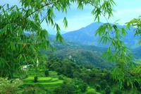 490 Rund ums Begnas Lake Resort