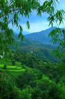 491 Rund ums Begnas Lake Resort