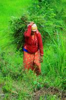 492 Rund ums Begnas Lake Resort