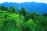 493 Rund ums Begnas Lake Resort