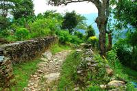 513 Wanderung in Pokhara