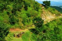 515 Wanderung in Pokhara