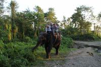 562 Im Chitwan Nationalpark