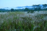 570 Im Chitwan Nationalpark