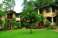 579 Im Chitwan Nationalpark