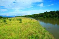 580 Im Chitwan Nationalpark