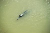 582 Im Chitwan Nationalpark