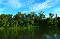 593 Im Chitwan Nationalpark