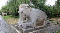 392_Elefant auf der Heiligen Allee