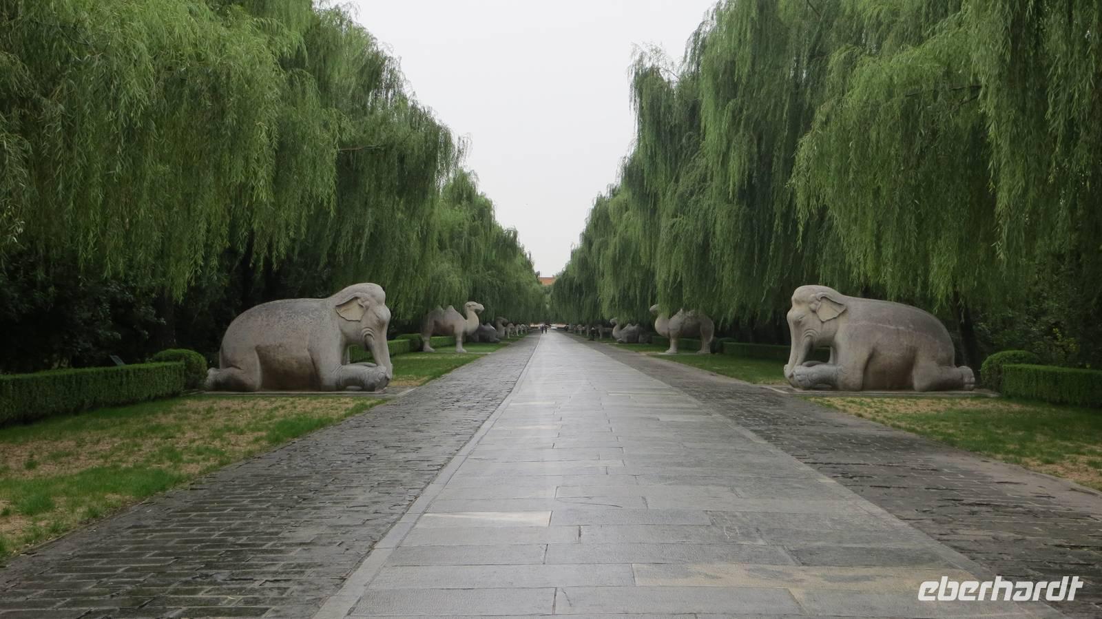 394_Heilige Allee bzw. Geisterallee