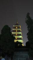 989_Wildganspagode in Xi'an bei Nacht