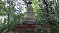 1821_Pagodenwald bei der Pagode der Sechs Harmonien in Hangzhou