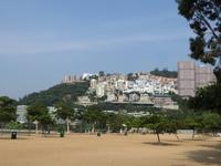 1977_Repuls-Bucht in Hongkong