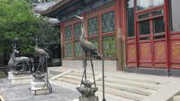 0165 Peking - Besuch des Sommerpalastes