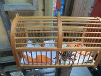 0219 Peking - Rikschafahrt durch die Alte Stadt - Besuch in einem alten Haus - Grillen als Haustiere