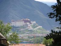 0540 Lhasa - Sera-Kloster - Blick zum Potala-Palast