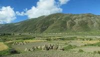 0749 Fahrt nach Gyantse