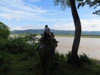 1538  Chitwan-Nationalpark - Elefanten-Safari