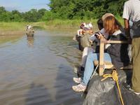 1551  Chitwan-Nationalpark - Elefanten-Safari