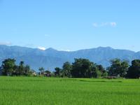 1639 Chitwan-Nationalpark - Rundfahrt mit Ochsenkarren