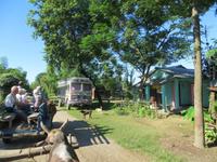 1644 Chitwan-Nationalpark - Rundfahrt mit Ochsenkarren