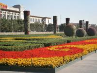Grünanlagen am Platz des himmlichen Friedens