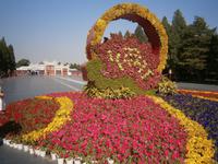 Blumen am Himmelspalast