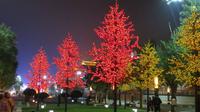 953_Lichterstadt der Tang-Dynastie in Xi'an - Weihnachtsbäume 