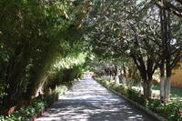 Garten auf 3.600 Meter Höhe!