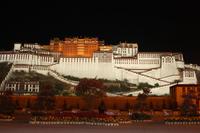 Potala bei Nacht