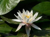 069. Peking, Sommerpalast