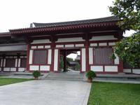 175. Xi'an, Wildganspagode