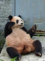 226. Guilin, Siebensterne Park