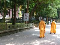 266. Hangzhou, Lingyin Tempel