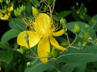 280. Hangzhou, beim Westsee