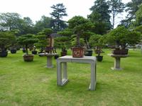 290. Hangzhou, Botanischer Garten