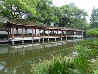 292. Hangzhou, Botanischer Garten