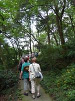 298. Hangzhou, Sechs-Harmonien-Pagode