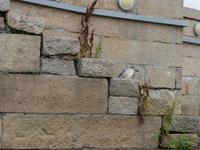 336. Suzhou, Kaiserkanal, Bootsfahrt