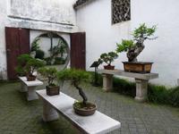 356. Suzhou, Garten des Meisters der Fischernetze