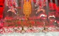 Akrobatikshow, Peking