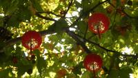 Baumschmuck