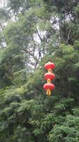 Baumschmuck